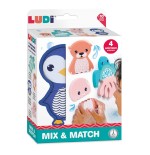 1474 Mix  Match Ludi