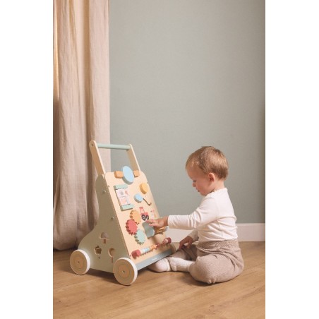 1598 Andador de Actividades Seasons