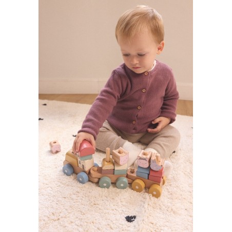 1607 Tren Little Pigs Family