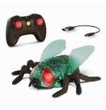 1701 Terra Mosca radio control