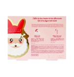 1829 Set Papá Noel con dos figuras efervescen