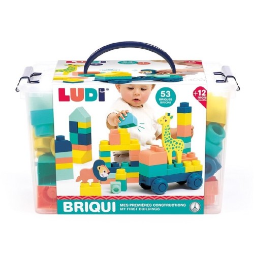 2310 Ludi Briqui mis primeras construcciones