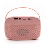 2393 Karaoke Con Luz Y 2 Micrófonos - Rosa