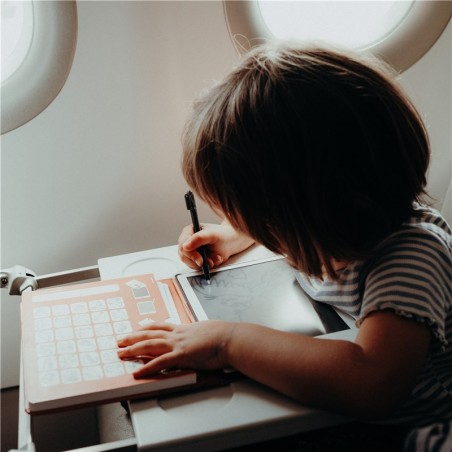 2455 KIDYDRAW-MINI-Animales