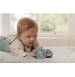 2550 Roller Forest Friends Fsc Little Dutch