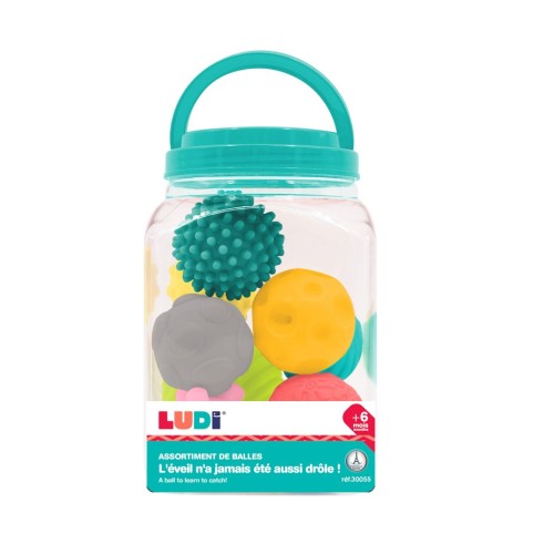 2669 Surtido 8 pelotas Ludi