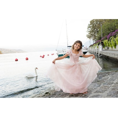 417 Vestido Antique Princess Gown 3-4
