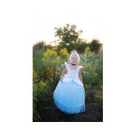 419 Vestido Deluxe Cinderella Size 5-6