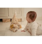 532 Conejo De Actividades Newborn Natural