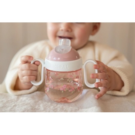 584 Vaso Antiderrame 200 Ml Fairy Garden