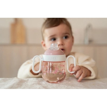 585 Vaso Antiderrame 200 Ml Fairy Garden